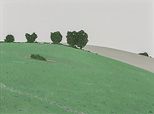 Heuvellandschap, Hilly Landscape